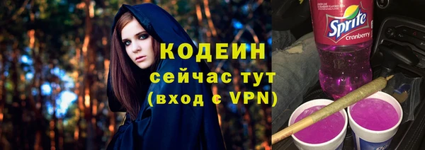 МДПВ Бородино