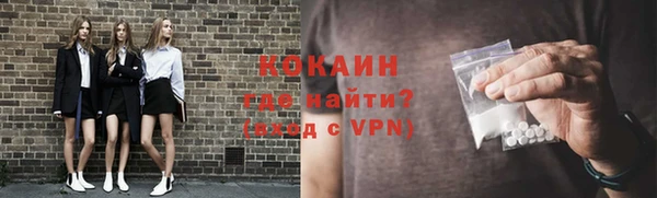 МДПВ Бородино