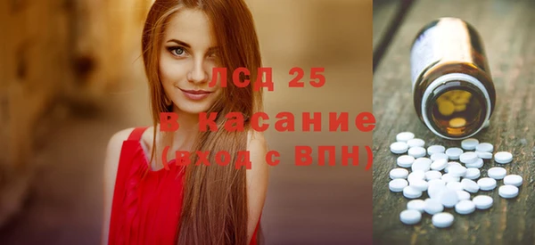 МДПВ Бородино