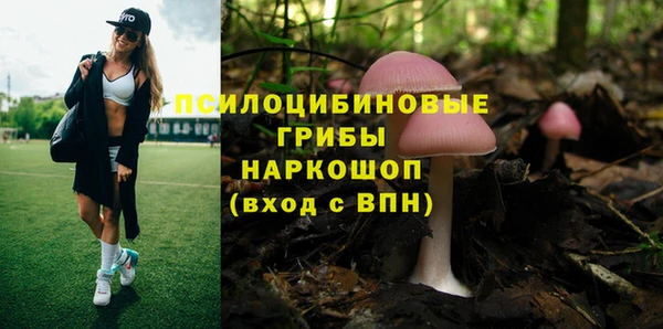 спиды Богданович
