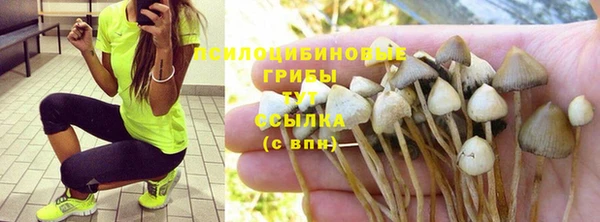 МДПВ Бородино