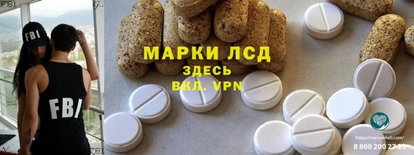 МДПВ Бородино